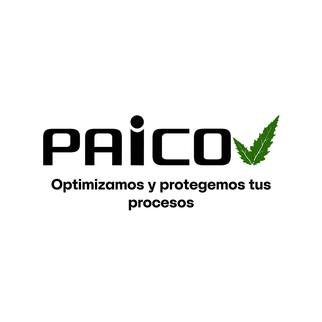 Imagen de Mvs infraestructura y sistemas - (Paico Control y Seguridad)